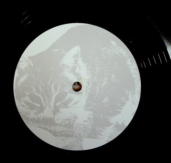 Silver Apples : Beacon (2xLP, Album, RE)
