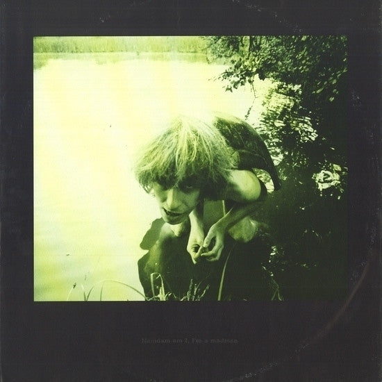 Julian Cope : Fried (LP, Album)
