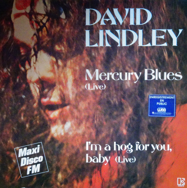 David Lindley : Mercury Blues (Live) (12", Maxi)
