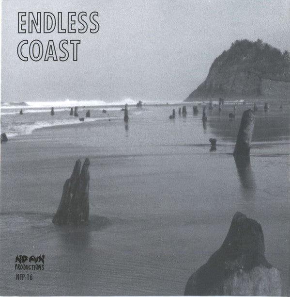 Jazkamer & Smegma : Endless Coast (CD, Album)
