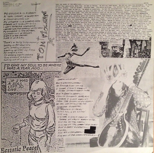 Sonic Youth : Evol (LP, Album, RP)