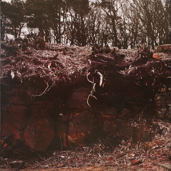 Voice Of The Seven Woods : Voice Of The Seven Woods (LP, Album)