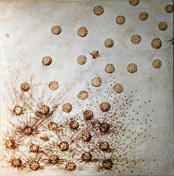 Family (6) : Anyway (LP, Album, RE)