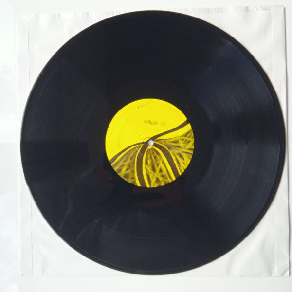 Sunburned Hand Of The Man : The Trickle-Down Theory Of Lord Knows What (LP, Album)