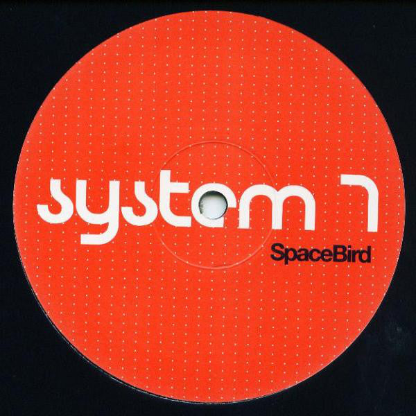 System 7 : Space Bird (12", Single)