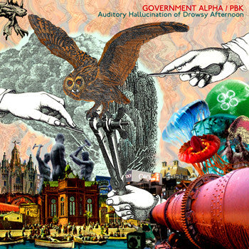 Government Alpha / PBK : Auditory Hallucination Of Drowsy Afternoon (CD, Album)