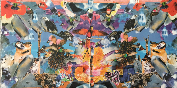 Celebration (2) : The Modern Tribe (LP, Album)