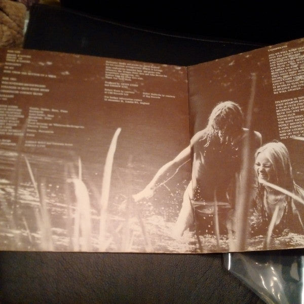 Kevin Ayers : Whatevershebringswesing (LP, Album)