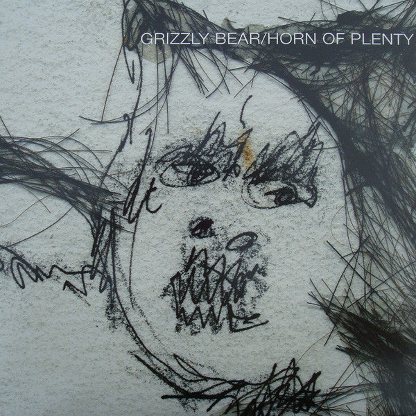 Grizzly Bear : Horn Of Plenty (LP, Album, RE)