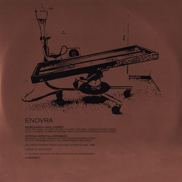 Endvra : Biomechanical Soul Journey (10", Ltd, Num)