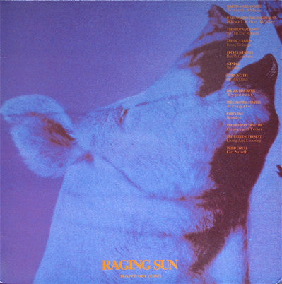 Various : Raging Sun (LP, Comp, RE)