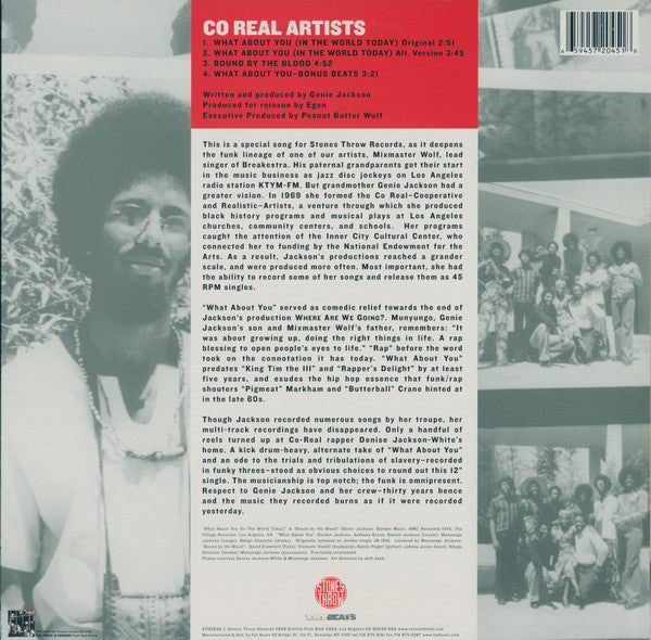 Co Real Artists : What About You (In The World Today) (12", Single)