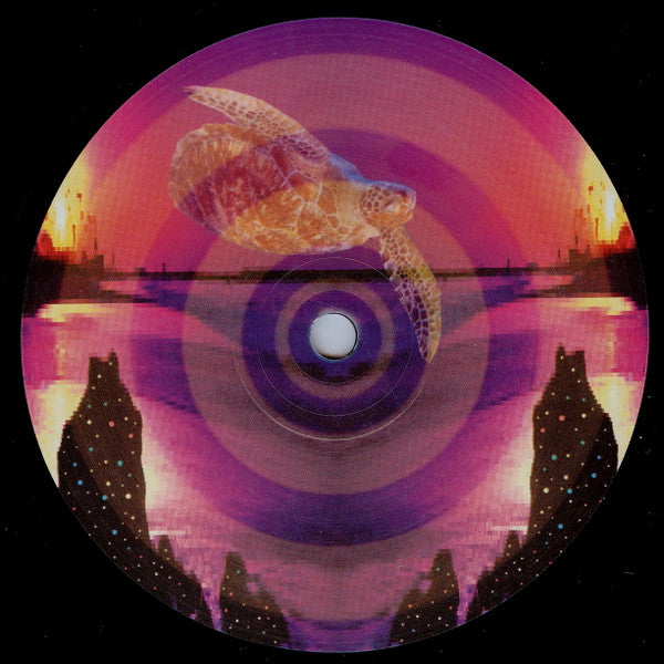Seahawks : Into Night / Sneaking Past The Fleet (12", Ltd)