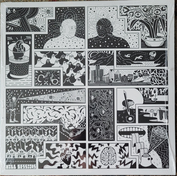 Will Sessions : Electromagnetic Reality (LP, Album)