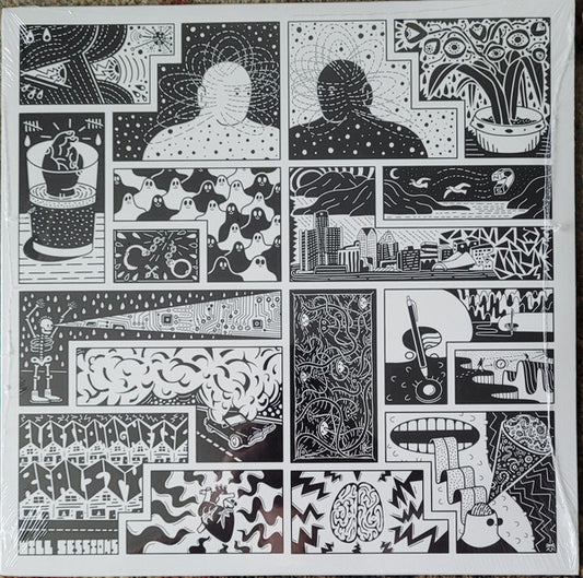 Will Sessions : Electromagnetic Reality (LP, Album)