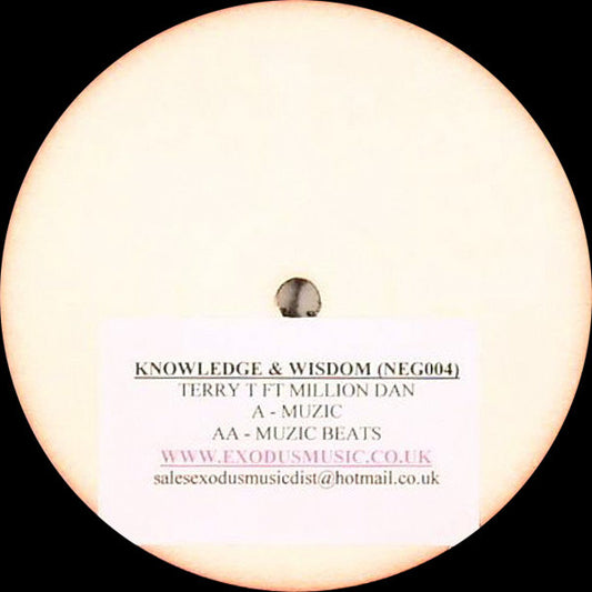Terry T* Ft Million Dan : Muzic / Muzic Beats (12", W/Lbl, Sti)
