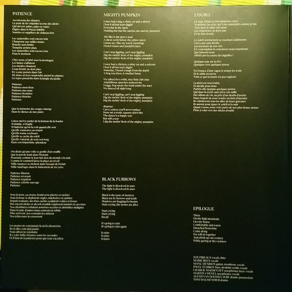 Ogives : La Mémoire Des Orages (2xLP, Gat)