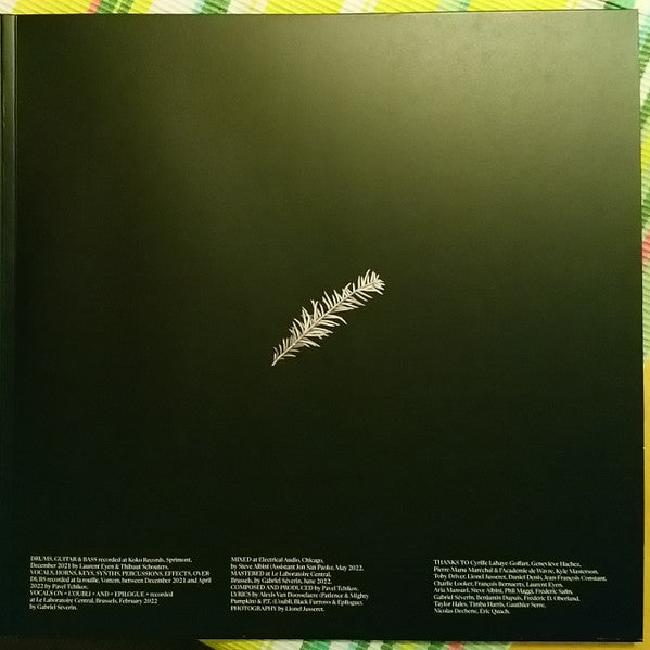 Ogives : La Mémoire Des Orages (2xLP, Gat)