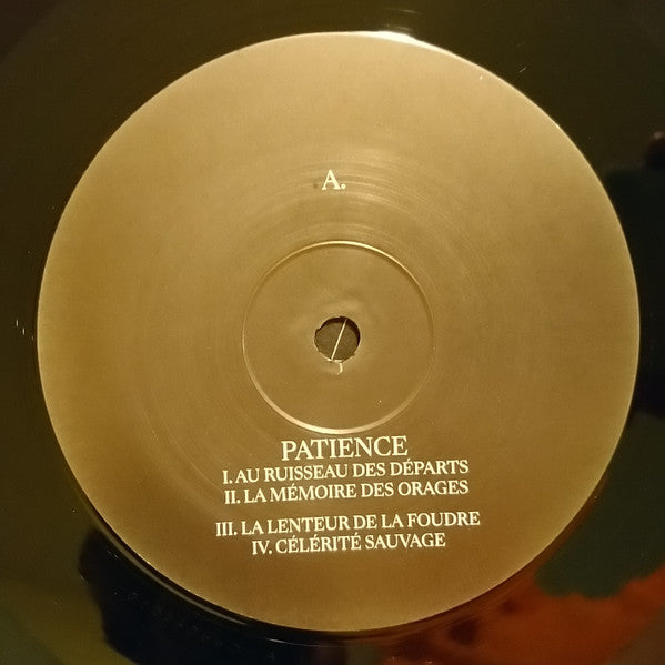 Ogives : La Mémoire Des Orages (2xLP, Gat)