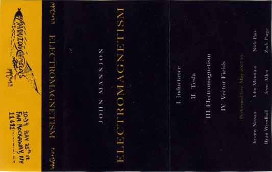 John Mannion : Electromagnetism (Cass, RE, C20)