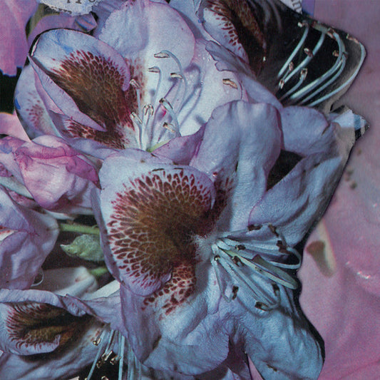 Teresa Winter : Proserpine (LP, Album, Blu)