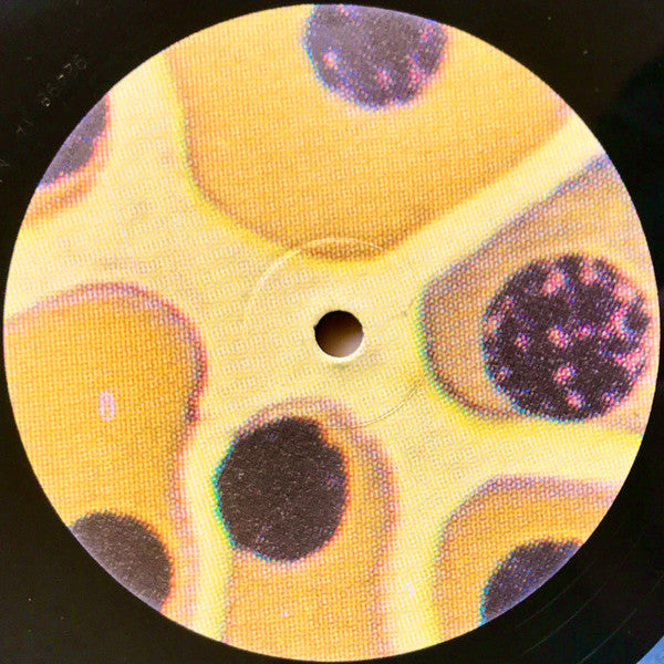 Dieter Müh : Heterodoxie (LP, Ltd)