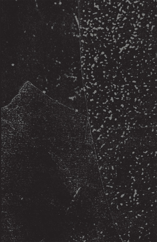 Damion Romero : Nobody Missing (Cass, Ltd)