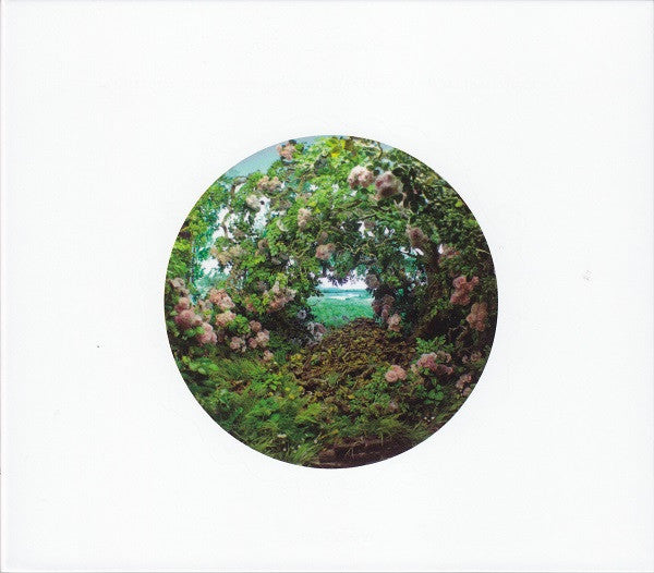 John Zorn : In Lambeth (Visions From The Walled Garden Of William Blake) (CD, Album)