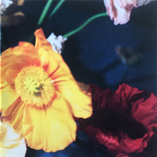 Fai Baba : The Savage Dreamer (LP, Album)