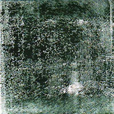 Damion Romero & David Scott Stone : John Wiese's Legs (CDr, Mini, Ltd)