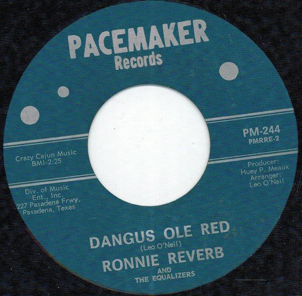 Ronnie Reverb And The Equalizers : The Cheering Song (7", Single)