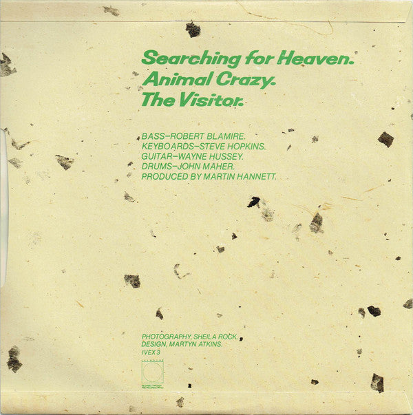 Pauline Murray And The Invisible Girls : Searching For Heaven (10")