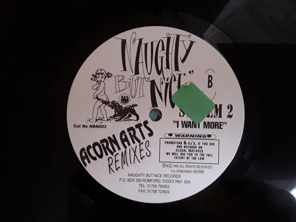 System 2 : I Want More (Acorn Arts Remixes) (12")