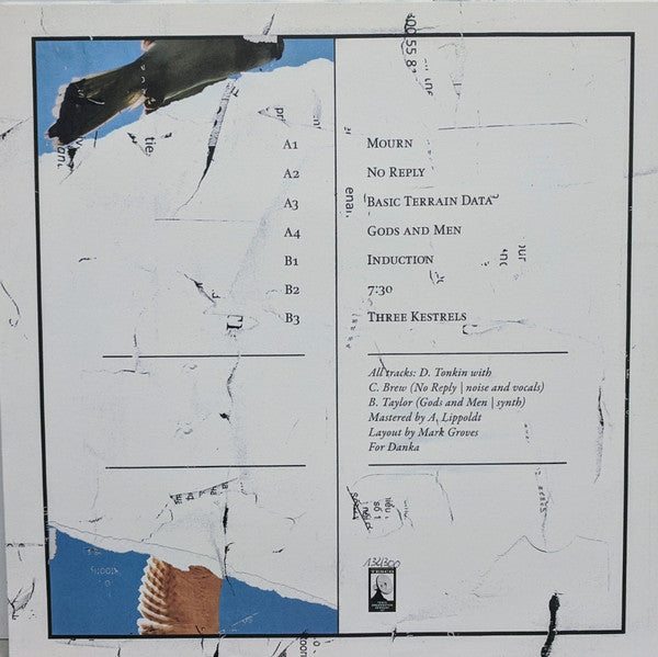 Isomer : Three Kestrels (LP, Ltd, Num)