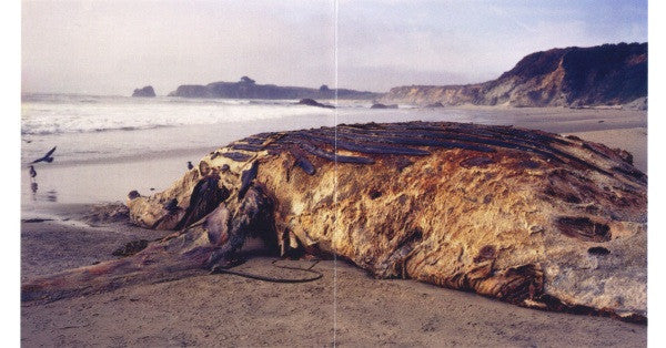 Pain Jerk & John Wiese : Terrazzo (CD, Album, Ltd)